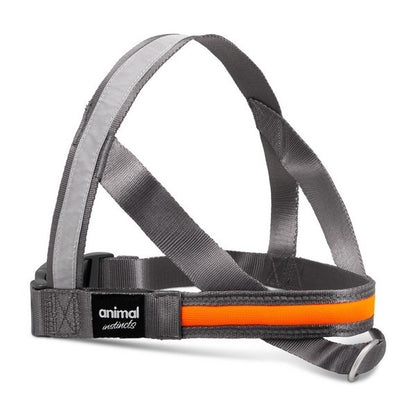 Animal Instincts Flashing Safety Dog Harness USB Rechargeable Full Shine Nylon Grey/Orange S 60cm