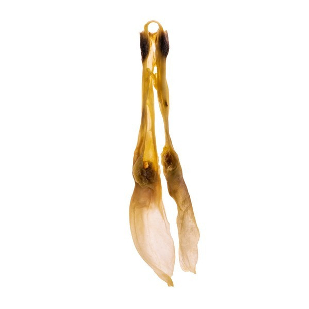 Doodles Deli Air Dried Rabbit Ears 1kg