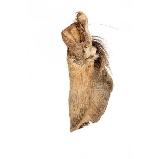 Doodles Deli Air Dried Beef Ears With Hair 1kg