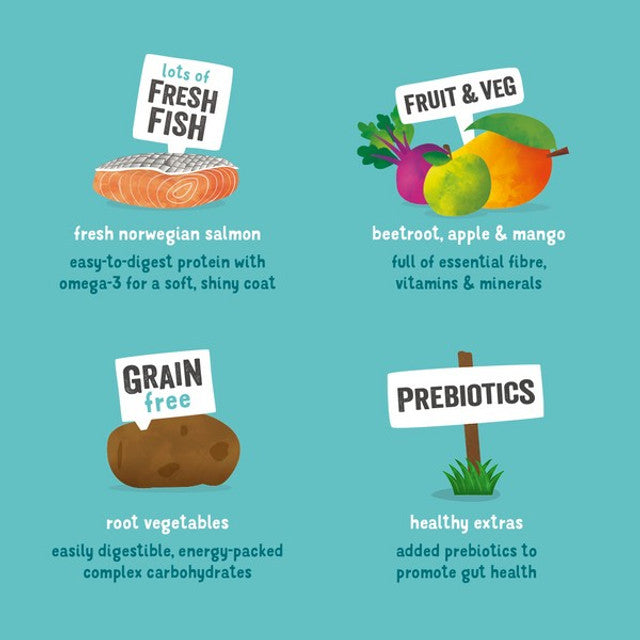 Edgard & Cooper Dry food for Dogs in Salmon 2.5kg