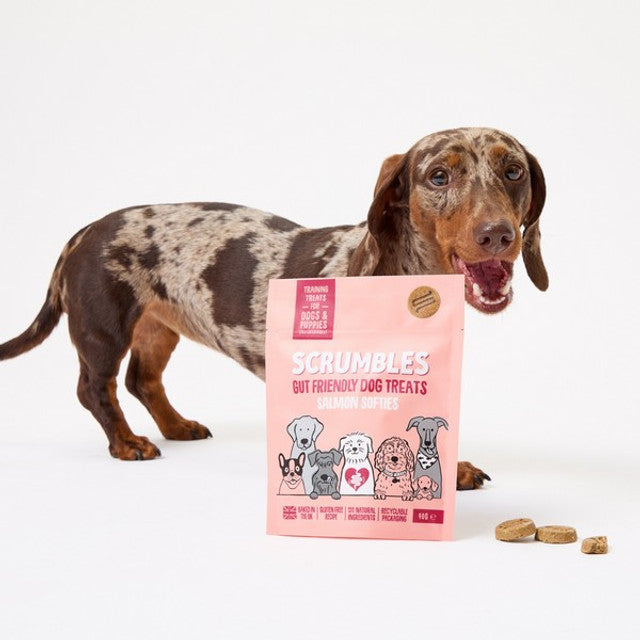 Scrumbles Dog Treats Softies Salmon Training Treats 90g Case of 8
