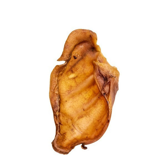 Doodles Deli Air Dried Pigs Ears 1pcs