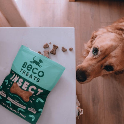 Dog Beco Insect Treats 70g