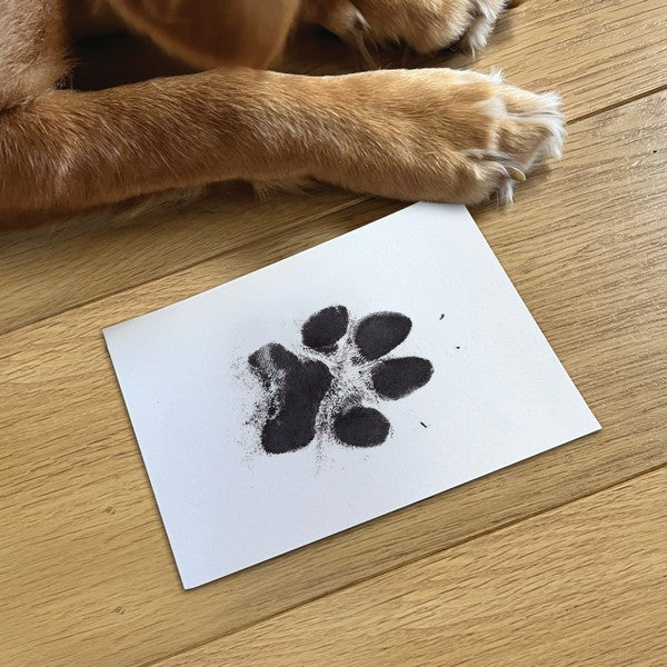 Oh So Precious Paw Print Ink Pad Non-Toxic Pet Craft Stamping, Standard 12.5cm