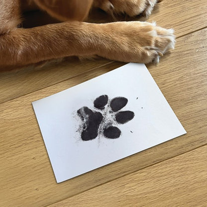 Oh So Precious Paw Print Ink Pad Non-Toxic Pet Craft Stamping, Standard 12.5cm