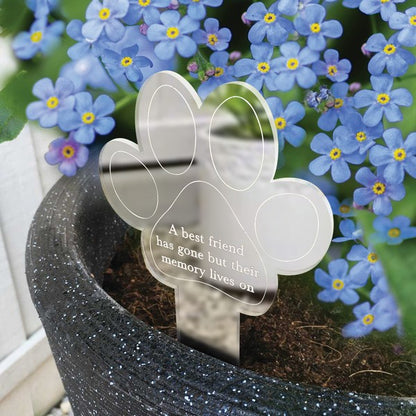 Oh So Precious Pet Memorial Plant Marker with Seeds Remembrance Garden Marker 1 Pc