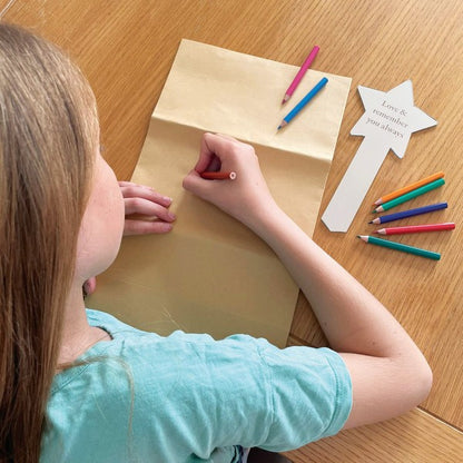 Oh So Precious Buddy Bag Pet Travel & Food Storage Tote Durable Portable Dog & Cat Carrier