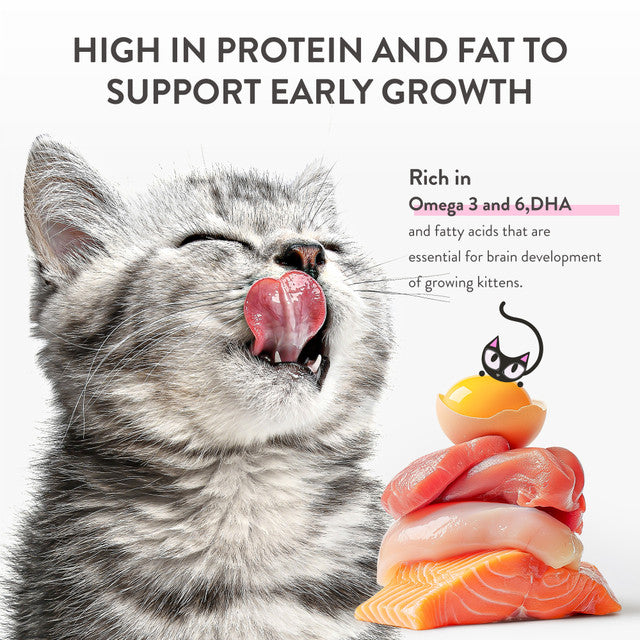 Schesir Baby Wholefood Kitten Cat Chicken & Salmon 70g