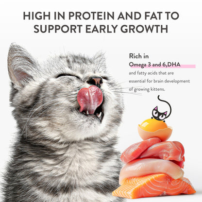 Schesir Baby Wholefood Kitten Cat Chicken & Salmon 70g