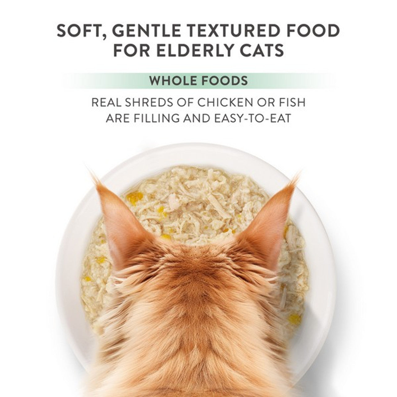 Schesir Silver Wholefood Older Cat Chicken 70g