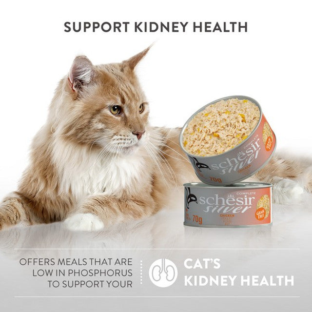 Schesir Silver Wholefood Older Cat Chicken 70g