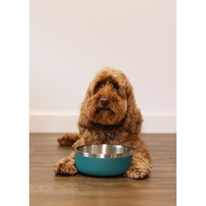 Rosewood Double Wall Stainless Steel Pet Bowl Insulated Dog Food Bowl Teal