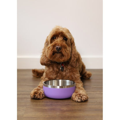 Rosewood Double Wall Stainless Steel Pet Bowl Spill-Resistant, Insulated Lilac