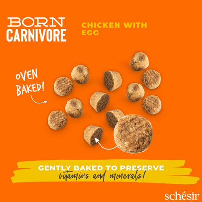 Schesir Dry Born Carnivore Chicken & Egg Adult 1.25Kg