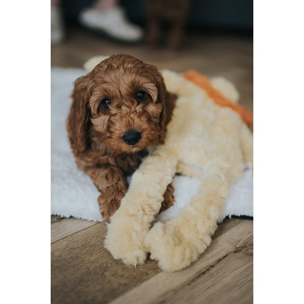 Rosewood My Dog Lion Plush Toy Interactive Stuffed Dog Toy for Pets Soft Cuddly Companion