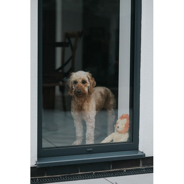 Rosewood My Dog Lion Plush Toy Interactive Stuffed Dog Toy for Pets Soft Cuddly Companion