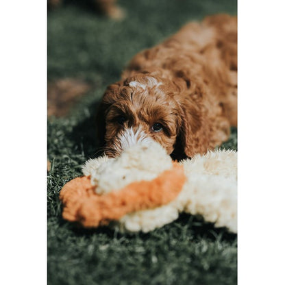 Rosewood My Dog Lion Plush Toy Interactive Stuffed Dog Toy for Pets Soft Cuddly Companion