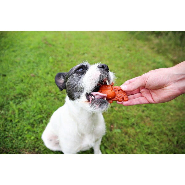 Petello Nobblys Hippo-Shaped Animal Treat Pumpkin Flavor 40g