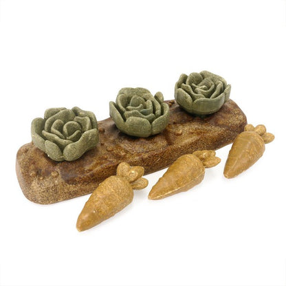 Rabbit Veggie Burst Salad Patch Rosewood