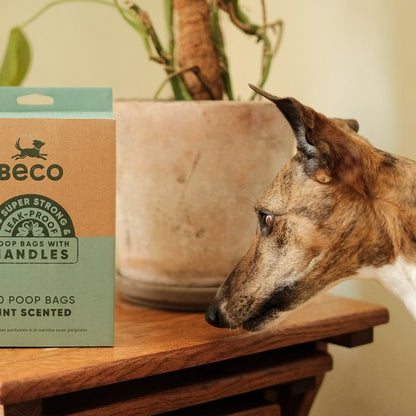 Dog Beco Recycled Poop Bags with Handles Mint Scented, 120 Pack