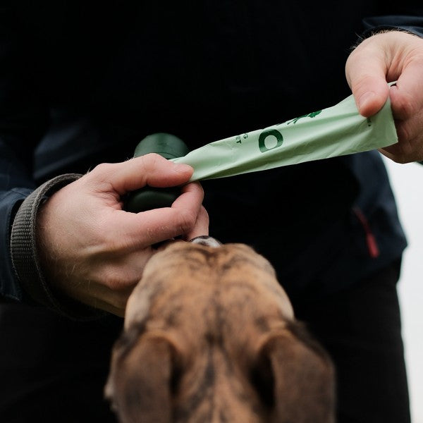 Dog Beco Poop Bags Unscented, 30 Single Rolls Countertop Display