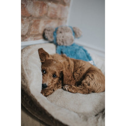 Rosewood My Dog Monkey Plush Toy Interactive Chew & Fetch Dog Toy