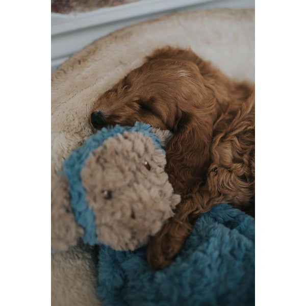 Rosewood My Dog Monkey Plush Toy Interactive Chew & Fetch Dog Toy