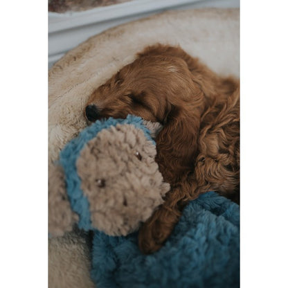 Rosewood My Dog Monkey Plush Toy Interactive Chew & Fetch Dog Toy