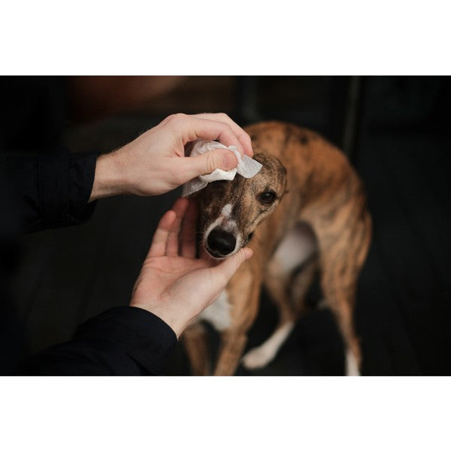 Dog Beco Bamboo Travel Wipes Unscented