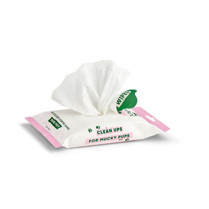 Dog Beco Bamboo Travel Wipes Coconut Scented