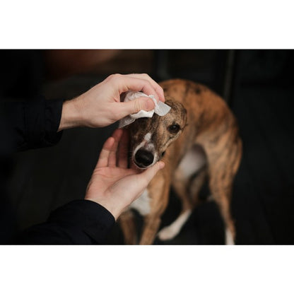 Dog Beco Bamboo Travel Wipes Coconut Scented