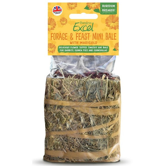 Burgess Excel Forage & Feast Hay Bale with Marigold 100g