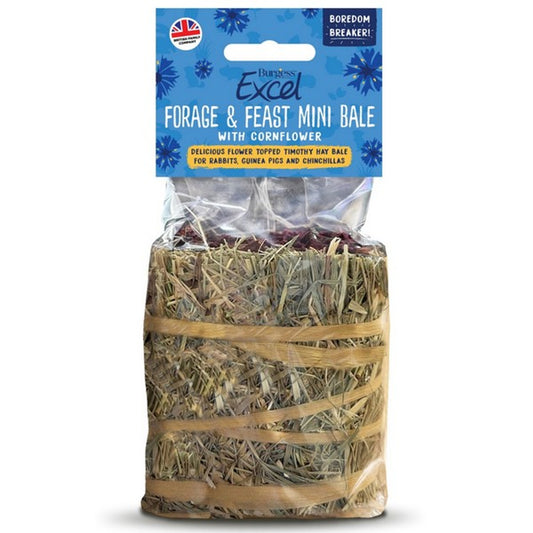 Burgess Excel Forage & Feast Hay Bale with Cornflower 100g