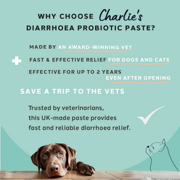 Charlie The Vet Diarrhoea Care Probiotic Paste for Dogs & Cats 15ml Digestive Support, Gut Health Supplement