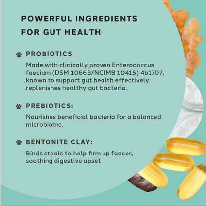 Charlie The Vet Diarrhoea Care Probiotic Paste for Dogs & Cats 15ml Digestive Support, Gut Health Supplement