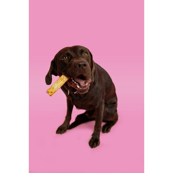 Pawtential Collagen Chew Salmon Flavour Large 110g Dog Treats for Joint & Coat Health