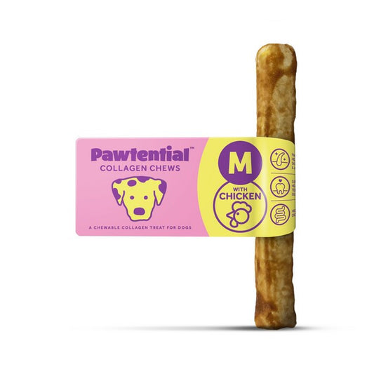Pawtential Collagen Dog Chew Chicken Flavor, Medium 70g Healthy Teeth & Joints Treat