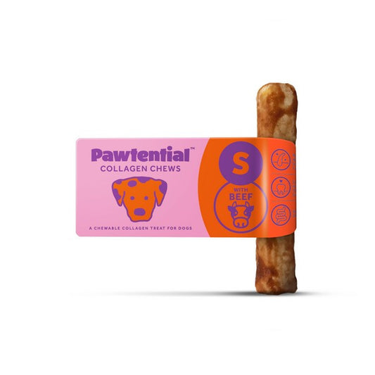 Pawtential Collagen Chew Beef Flavour Small 36g Healthy Dog Treats for Joint & Skin Support