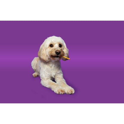 Pawtential Collagen Chew XS Salmon Flavour Healthy Dog Treats, 6 Sticks