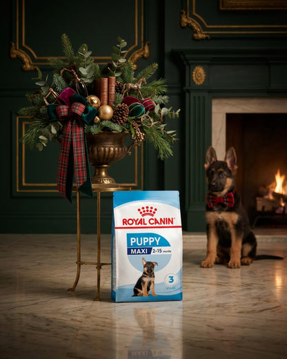 Royal Canin Maxi Dry Puppy Food 3kg