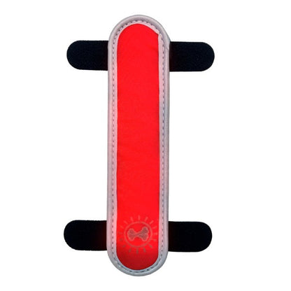 Animal Instincts Flashing LED Safety Dog Collar Clip High Visibility Night Pet Accessory Mixed Colors