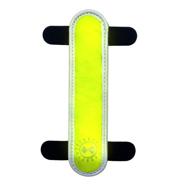 Animal Instincts Flashing LED Safety Dog Collar Clip High Visibility Night Pet Accessory Mixed Colors