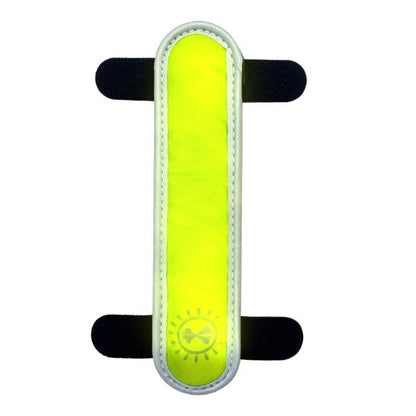 Animal Instincts Flashing LED Safety Dog Collar Clip High Visibility Night Pet Accessory Mixed Colors