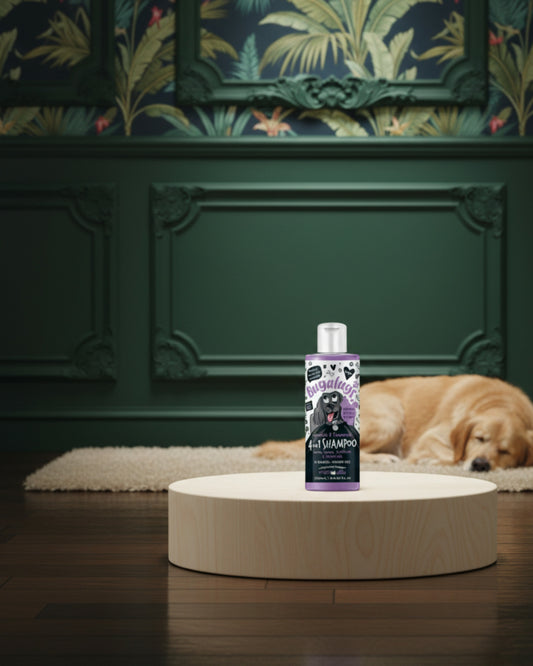 Bugalugs Lavender & Chamomile 4-in-1 – Soothing Dog Shampoo & Conditioner