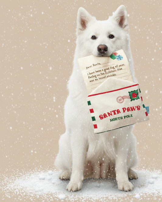 BARK Christmas “Letter to Santa Paws” Dog Toy