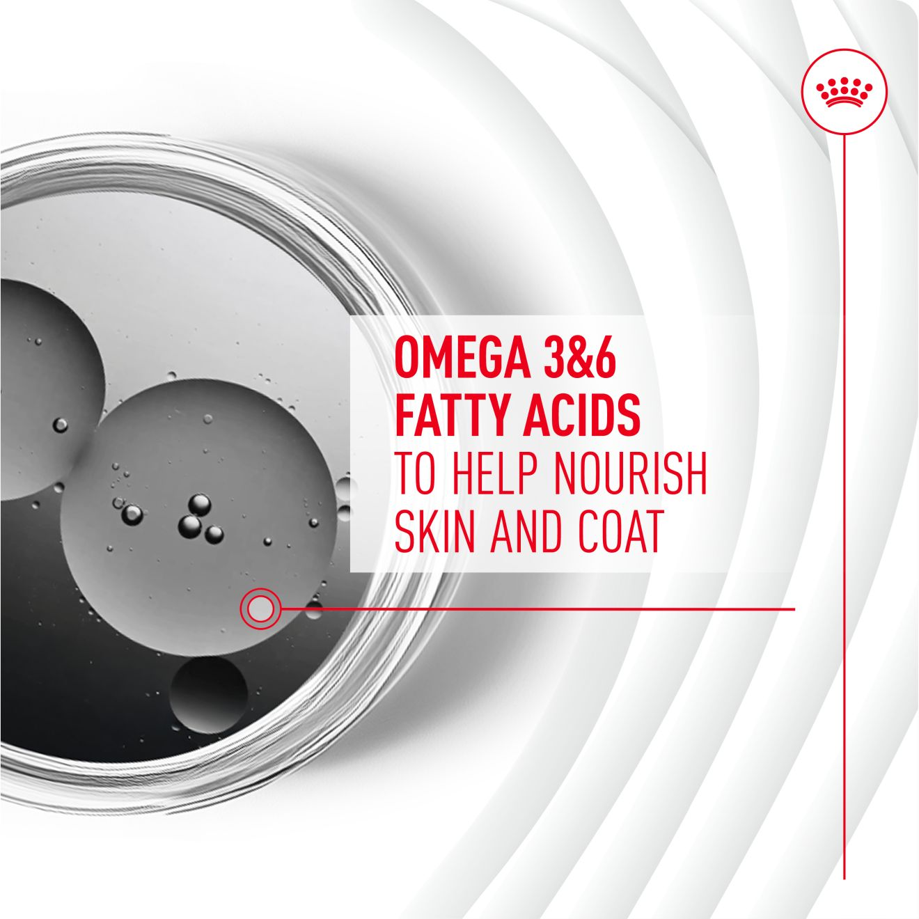 Royal Canin Dog Supplement for Skin & Coat Soft Chews  240g