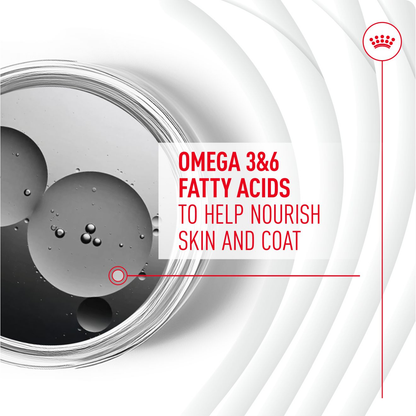 Royal Canin Dog Supplement for Skin & Coat Soft Chews  240g