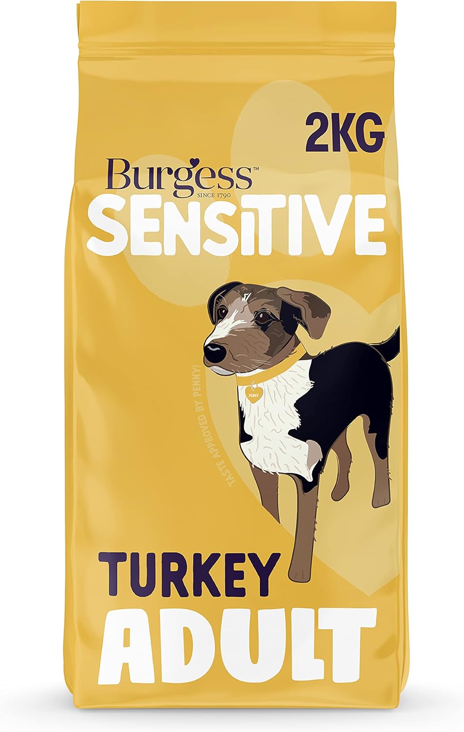 Burgess Sensitive Adult Turkey and Rice 2kg