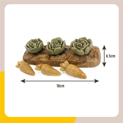 Rabbit Veggie Burst Salad Patch Rosewood