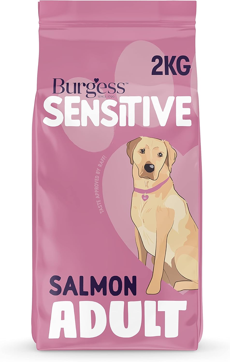 Burgess Sensitive Adult Salmon and Rice 2kg